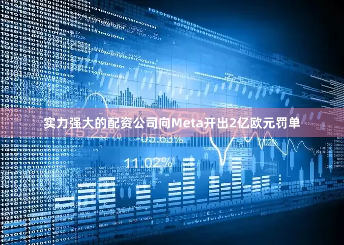 实力强大的配资公司向Meta开出2亿欧元罚单