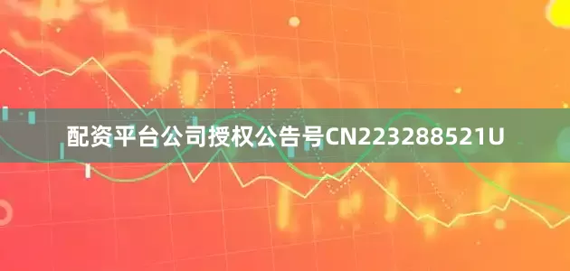 配资平台公司授权公告号CN223288521U