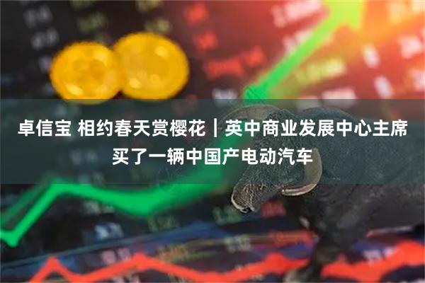 卓信宝 相约春天赏樱花︱英中商业发展中心主席买了一辆中国产电动汽车