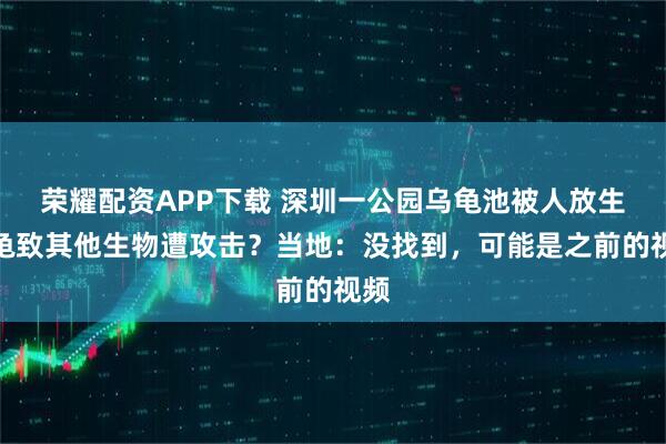 荣耀配资APP下载 深圳一公园乌龟池被人放生鳄龟致其他生物遭攻击？当地：没找到，可能是之前的视频