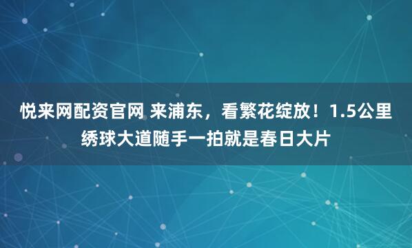 悦来网配资官网 来浦东，看繁花绽放！1.5公里绣球大道随手一拍就是春日大片